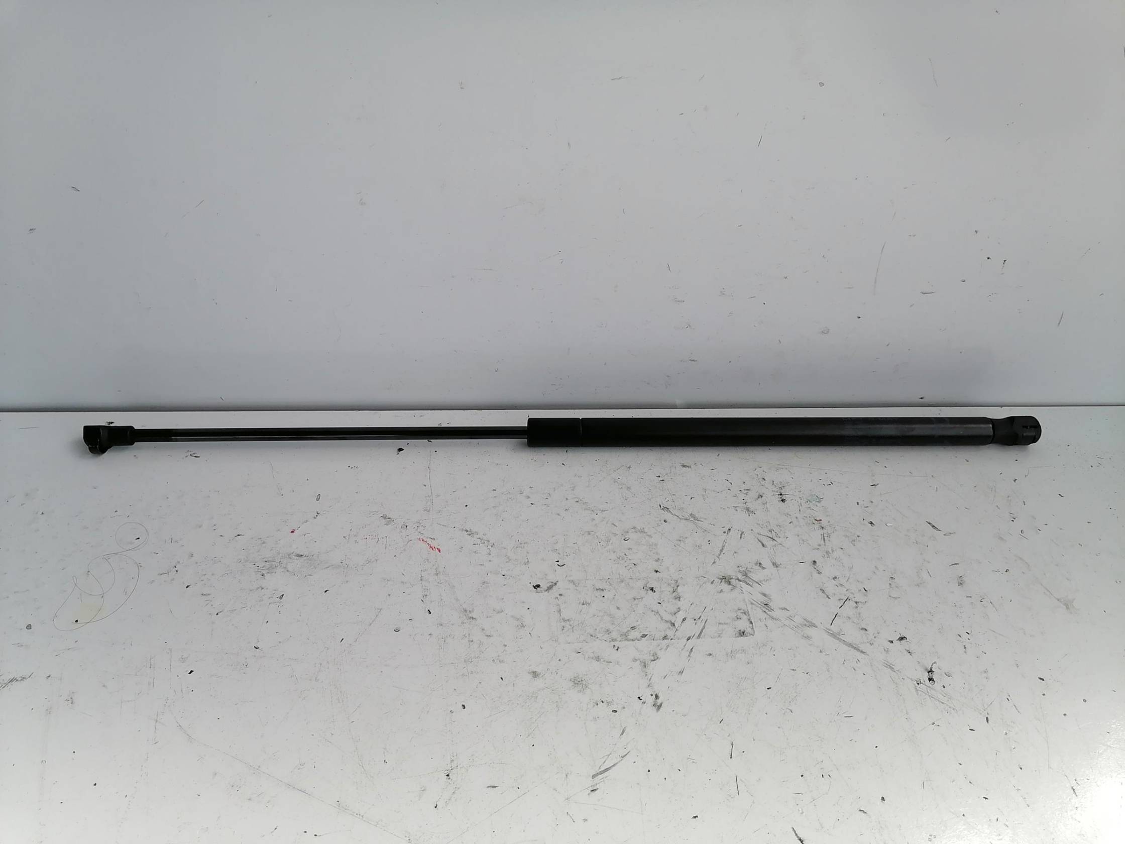 Asta ammortizzante lunotto